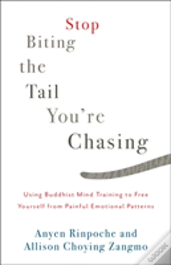 Capa do artigo Stop Biting The Tail You'Re Chasing