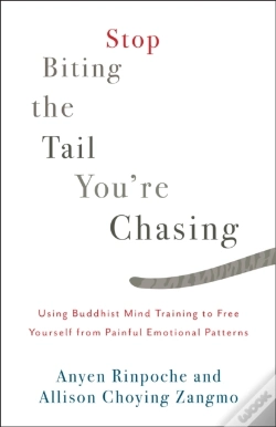 Capa do artigo Stop Biting The Tail You'Re Chasing