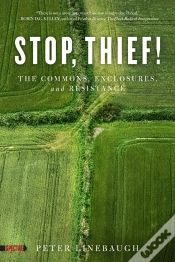 Capa do artigo Stop, Thief!