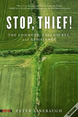 Capa do artigo Stop, Thief!