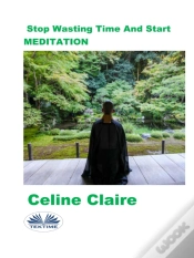 Capa do artigo Stop Wasting Time And Start Meditation