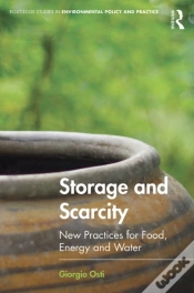 Capa do artigo Storage And Scarcity