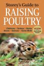 Storey'S Guide To Raising Poultry, 4th Edition - Preview