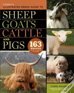 Capa do artigo Storey'S Illustrated Breed Guide To Sheep, Goats, Cattle And Pigs