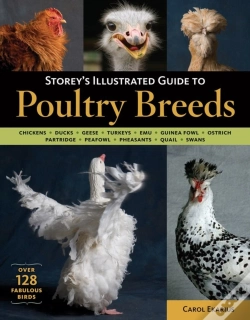 Capa do artigo Storey'S Illustrated Guide To Poultry Breeds