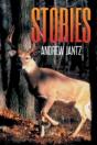 Stories - Preview