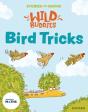 Stories For Maths: Eyfs: Bird Tricks (Match, Sort, And Compare) - Preview