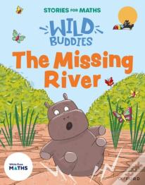 Stories For Maths: Eyfs: The Missing River (Explore 3-D Shapes)
