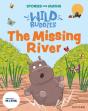 Stories For Maths: Eyfs: The Missing River (Explore 3-D Shapes) - Preview