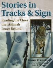 Capa do artigo Stories In Tracks And Sign