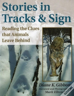 Capa do artigo Stories In Tracks And Sign