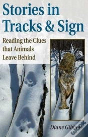 Capa do artigo Stories In Tracks & Sign