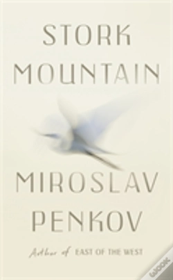 Capa do artigo Stork Mountain