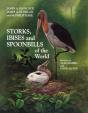 Storks, Ibises And Spoonbills Of The World - Preview