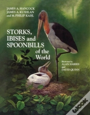 Capa do artigo Storks, Ibises And Spoonbills Of The World
