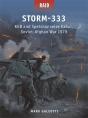 Storm-333 - Preview