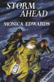 Capa do artigo Storm Ahead