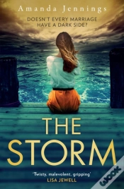 Capa do artigo Storm