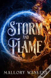 Capa do artigo Storm And Flame