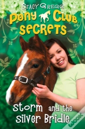 Capa do artigo Storm And The Silver Bridle