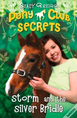 Capa do artigo Storm And The Silver Bridle