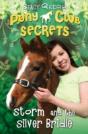 Storm And The Silver Bridle - Preview