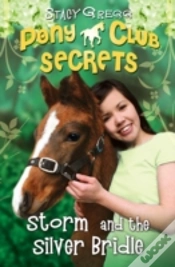 Capa do artigo Storm And The Silver Bridle