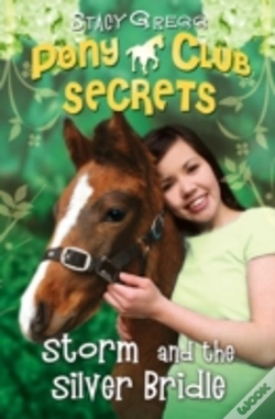 Capa do artigo Storm And The Silver Bridle