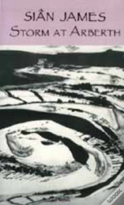 Capa do artigo Storm At Arberth