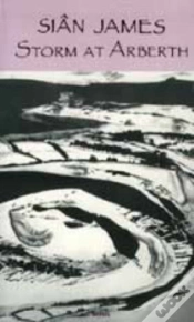 Capa do artigo Storm At Arberth