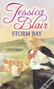 Capa do artigo Storm Bay