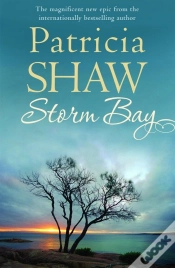 Capa do artigo Storm Bay