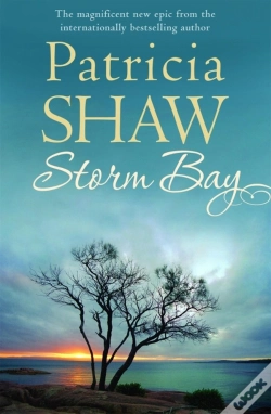 Capa do artigo Storm Bay