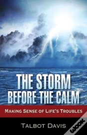 Capa do artigo Storm Before The Calm