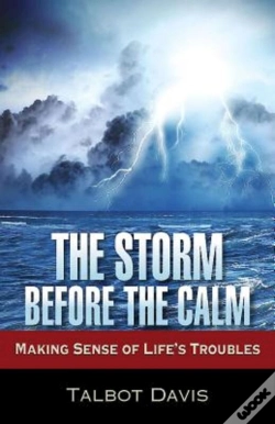 Capa do artigo Storm Before The Calm