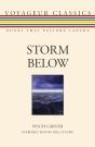 Storm Below - Preview