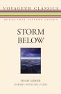 Storm Below - Preview