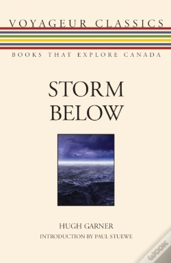 Capa do artigo Storm Below