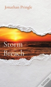Capa do artigo Storm Breach