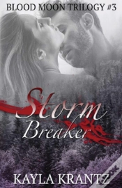 Capa do artigo Storm Breaker