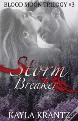 Capa do artigo Storm Breaker