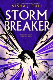 Capa do artigo Storm Breaker