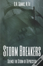 Capa do artigo Storm Breakers