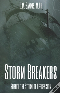 Capa do artigo Storm Breakers