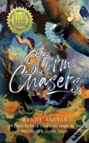 Capa do artigo Storm Chasers