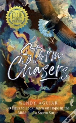 Capa do artigo Storm Chasers