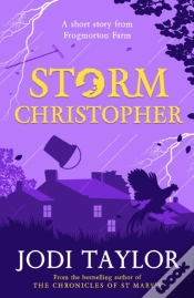 Capa do artigo Storm Christopher
