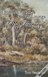 Storm Clouds And Silver Linings