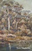 Storm Clouds And Silver Linings