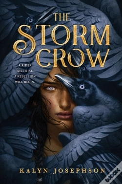 Capa do artigo Storm Crow